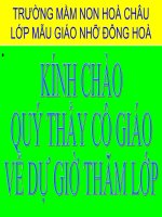 Bài 1: thế giới thực vật