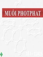 Muối photphat