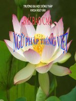 Báo cáo ngữ pháp tiếng việt