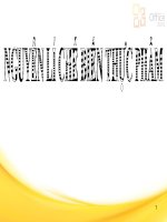 Sản xuất bột cốt dừa