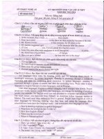 ĐỀ TS Nghệ An 2013