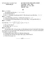 Đề thi tuyển 10 môn toán tỉnh ninh thuận năm học2013-2014