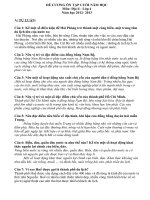 Đề cương ôn tập lớp 4