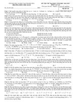 de thi thu dai hoc nam 2013 co dap an