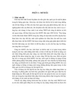 skkn xây dưng một bài tập bộ trợ kỹ thuật phát cầu tâng cầu cho học sinh lớp 6 bậc thcs