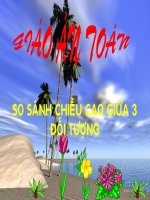 so sánh chiều cao giữa 3 đối tượng