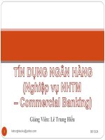 tín dụng ngân hàng (nghiệp vụ ngân hàng thương mại)
