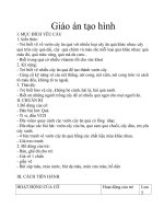 Giáo án vẽ vườn cây ăn quả