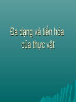 Đa dạng và tiến hóa của thực vật