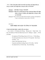 Một số giải pháp nhằm hoàn thiện hoạt động xuất nhập khẩu tại công ty cổ phần xuất nhập khẩu và hợp tác đầu tư VILEXIM