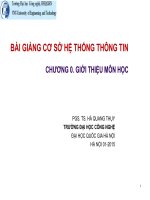 BÀI GIẢNG CƠ SỞ HỆ THỐNG THÔNG TIN