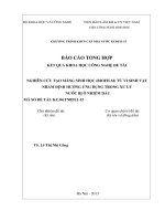 nghiên cứu tạo màng sinh học (biofilm) từ vi sinh vật nhằm định hướng ứng dụng trong xử lý nước bị ô nhiễm dầu