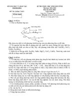 Đề thi học sinh giỏi môn Hóa lớp 9