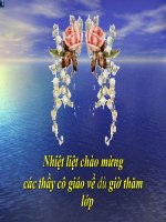 CÁCH LẬP Ý CỦA BÀI VĂN BIỂU CẢM