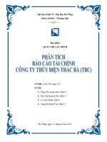 phân tích báo cáo tài chính công ty thủy điện thác bà