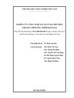 Nghiên cứu công nghệ sản xuất dầu bôi trơn cho quá trình đúc nhôm kim loại