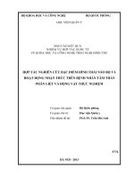 hợp tác nghiên cứu đặc điểm hình thái não bộ và hoạt động nhận thức trên bệnh nhân tâm thần phân liệt và động vật thực nghiệm