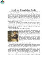 CƠ SỞ CỦA DI TRUYỀN HỌC MENDEL