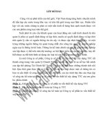 Báo cáo thực tập tại công ty cổ phần tư vấn thiết kế xây dựng TTC