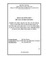 nghiên cứu thực trạng các yêu cầu kỹ thuật, chất lượng đối với sản phẩm nhập khẩu từ nguyên liệu giấy, bột giấy và từ cáctông phục vụ quản lý hàng nhập khẩu thay thế biện pháp sử dụng giấy phép nhập khẩu tự động