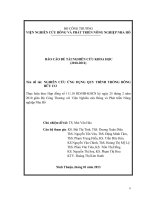 nghiên cứu ứng dụng quy trình trồng bông hữu cơ