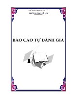 Báo cáo Tự đánh giá chất lượng giáo dục trường THCS Lê Lợi - Cam Lộ - Quảng Trị