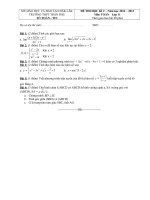 đề HKII toán 11 ThptTrP 2013