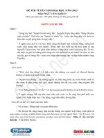 GIẢI ĐỀ THI ĐẠI HỌC MÔN VĂN KHỐI D