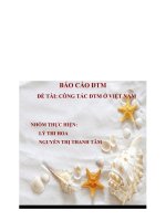 báo cáo công tác đtm ở việt nam