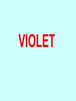 TẬP HUẤN PHẦN MỀM VIOLET