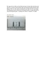 nhờ thầy, cô giải hộ cho em.