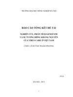 nghiên cứu, phân tích genotype và sự tương đồng kháng nguyên của virus care ở việt nam