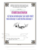 sử dụng sơ đồ khắc sâu kiến thức phần sinh học và môi trường sinh học 9