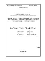 hợp tác nghiên cứu đặc điểm hình thái não bộ và hoạt động nhận thức trên bệnh nhân tâm thần phân liệt và động vật thực nghiệm - các sản phẩm