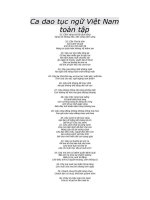 Ca dao tục ngữ Việt Nam toàn tập