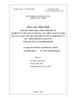 nghiên cứu chế tạo các bộ xúc tác trên cơ sở vật liệu xúc tác nano làm việc dưới 400oc để xử lý khí thải của quá trình đốt rác thải y tế - phụ lục