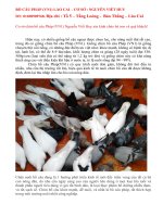 BỒ CÂU PHÁP(VN1) LÀO CAI - CƠ SỞ NGUYỄN VIẾT HUY. ĐT: 01698909768