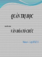 Tiểu luận môn Quản trị học VĂN HÓA TỔ CHỨC