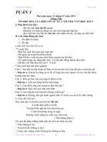 Giáo án ôn tập hè 2013