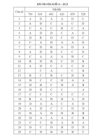 DAP AN HOA KHOI A NAM 2013