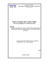 nghiên cứu, thiết kế, chế tạo thiết bị đo nồng độ dầu ứng dụng trong hệ thống phân ly dầu nước trên tàu thủy