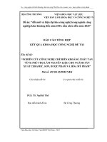 nghiên cứu công nghệ chế biến khoáng chất tan vùng phú thọ làm nguyên liệu cho ngành sản xuất ceramic, sơn, dược phẩm và hoá mỹ phẩm