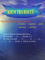 Tiết 54 Sự phát triển của giới thực vật