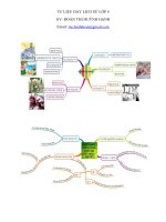 Hình ảnh Mindmap dạy Sử lớp 4