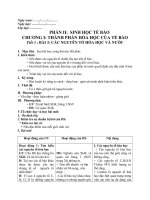 Giáo án Sinh học 10 rất hay