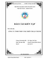 Báo cáo tổng hợp về công tác kế toán tại Công ty TNHH TMDV XNK Thiên Thuận Thành