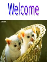 Tap huan ma tran de KT THCS