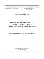 Báo cáo khoa học : Cơ cấu xã hội, lối sống và phúc lợi của dân cư Thành Phố Hồ Chí Minh  hiện nay
