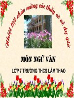 Các nhân tố hình thành đất