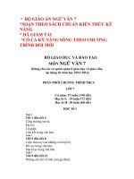 GIÁO ÁN NGỮ VĂN 8 CHUẨN CÓ KỸ NĂNG SỐNG MỚI 2013-2014